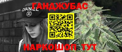 тгк Новодвинск
