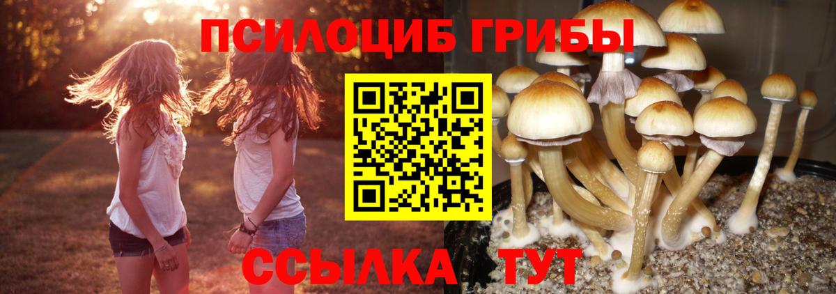 Ростов-на-Дону  Галлюциногенные грибы MAGIC MUSHROOMS  Вход с VPN 
